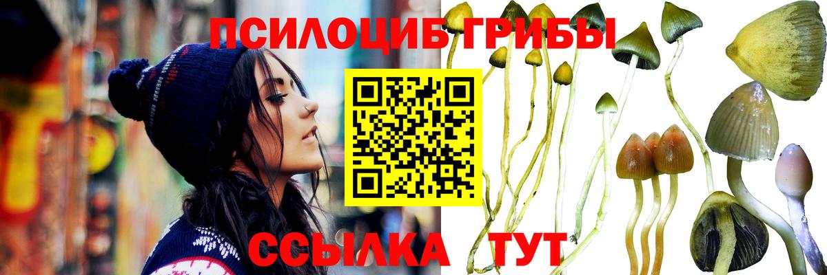 Галлюциногенные грибы ЛСД  Галлюциногенные грибы ЛСД  Вход с VPN  купить наркотик  Ейск 